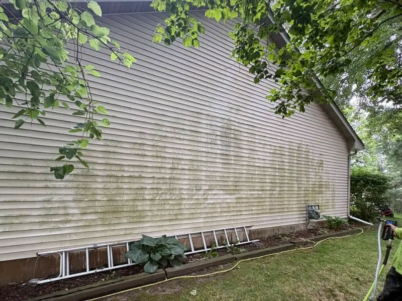 Same house siding streaked with green algae before washing